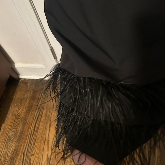 Sam Edelman black asymmetrical sheath dress feathers cocktail party 8 NWT - Picture 6 of 7